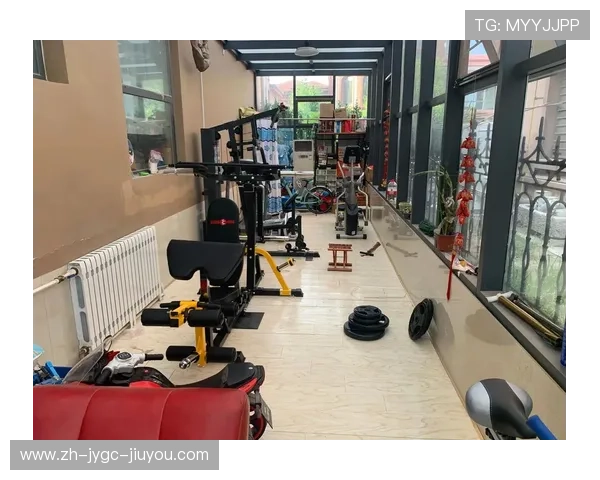 多站位组合健身器材的功能及训练优势解析